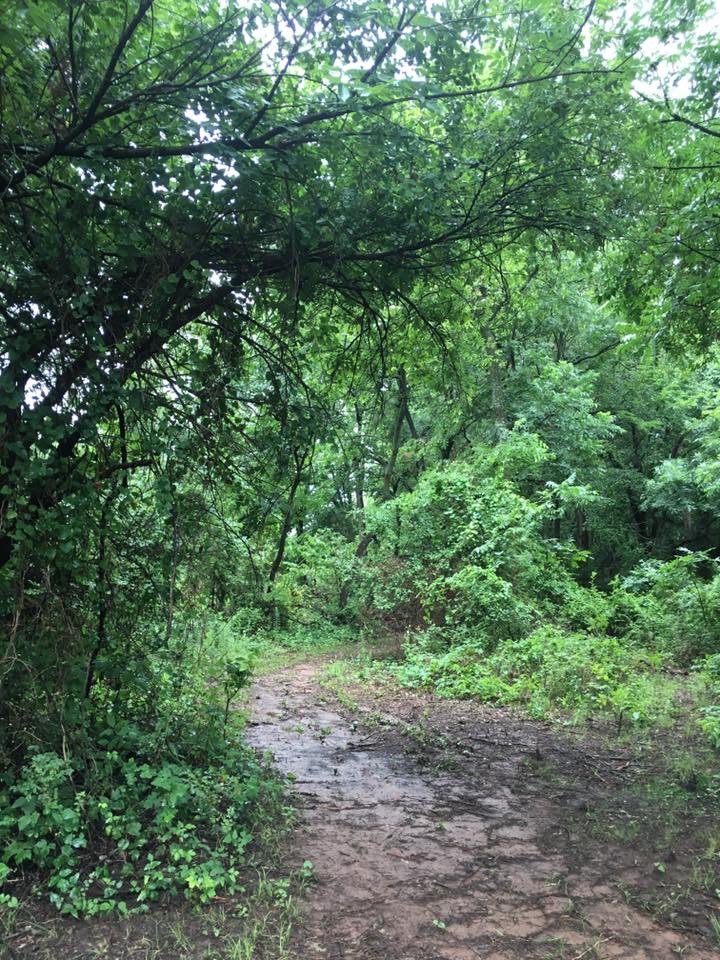 trails3